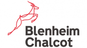 Blenheim Chalcot: Investments against COVID-19